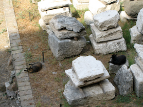 Rom Bilder - Romguiden