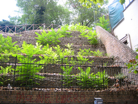 Rom Bilder - Romguiden